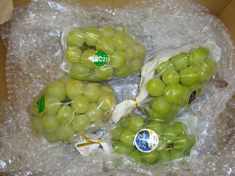 10月のご支援品パート7