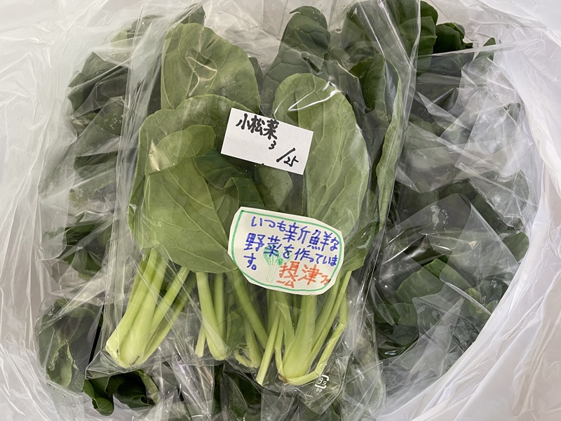 3月のご支援品3/27　小松菜、ロログリーン