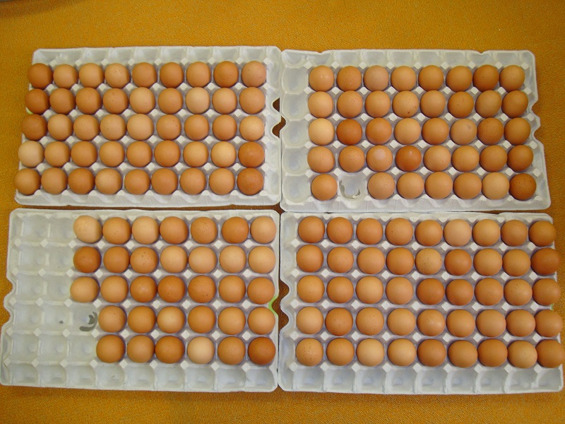 5月のご支援品パート2