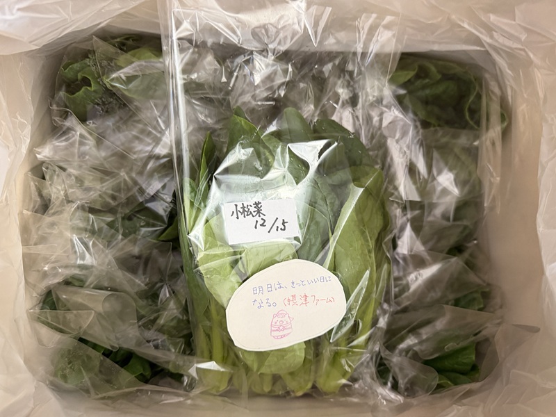 12月のご支援品12/16　小松菜、チマサンチュ