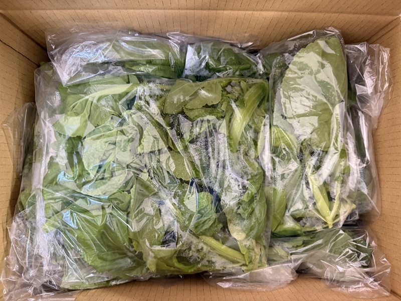 12月のご支援品12/16　高菜