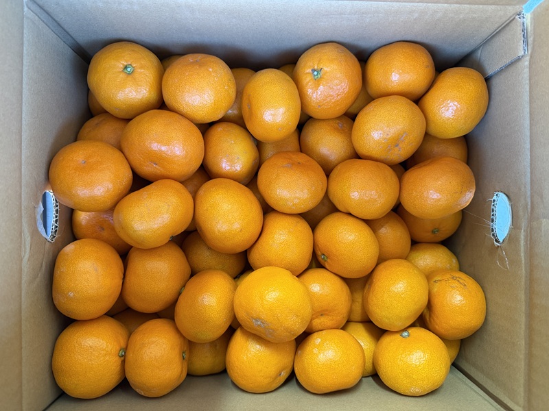 12月のご支援品12/18　みかん、白菜等