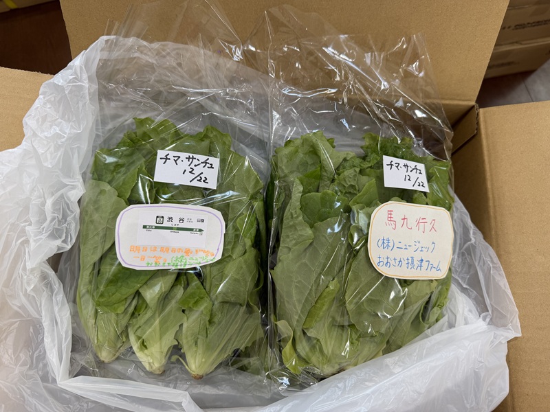 12月のご支援品12/24　サニーレタス、小松菜