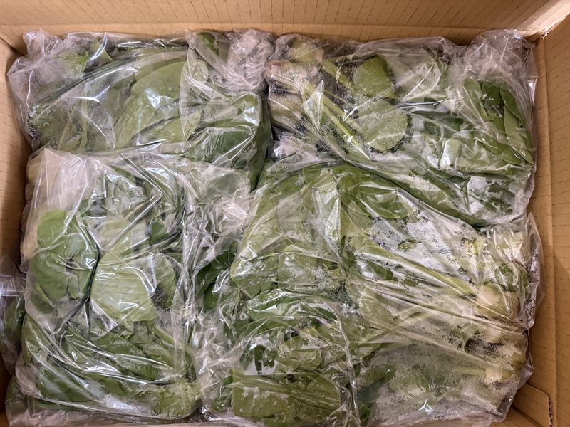 12月のご支援品12/24　小松菜、チンゲン菜