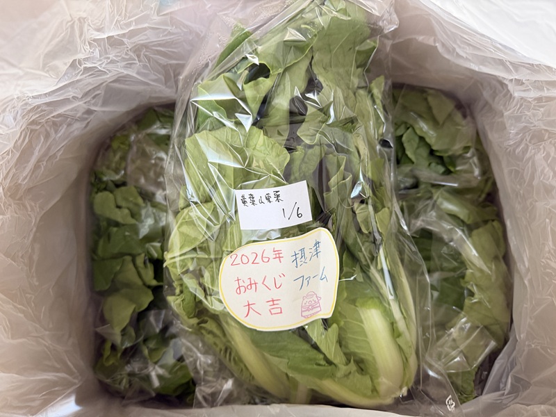 1月のご支援品1/7　山東菜、フリルレタス等