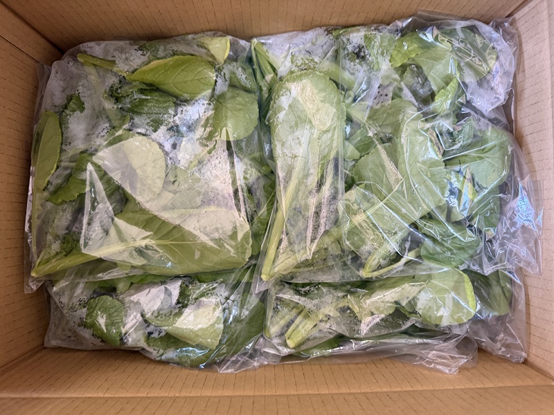 1月のご支援品1/7　小松菜