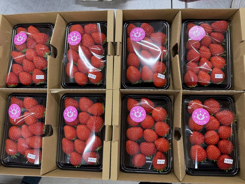 1月のご支援品1/11 いちご 1月のご支援品1/11 いちご