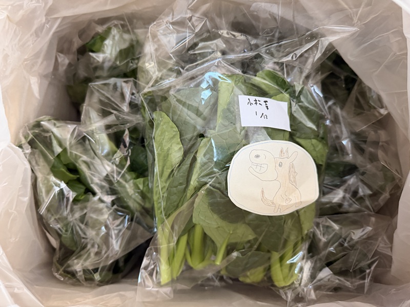 1月のご支援品1/13　小松菜
