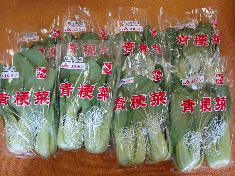 2月のご支援品  チンゲン菜