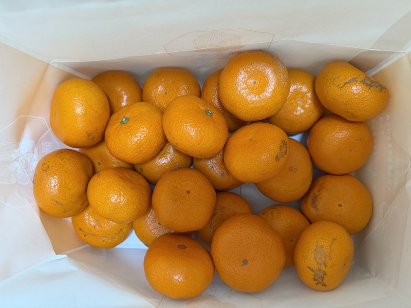 2月のご支援品2/4　みかん、バナナ等