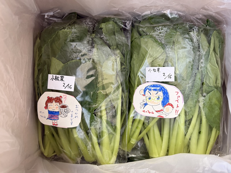 2月のご支援品2/17　小松菜、フリルレタス