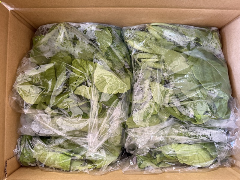 2月のご支援品2/17　高菜