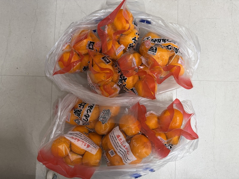 2月のご支援品2/24　みかん