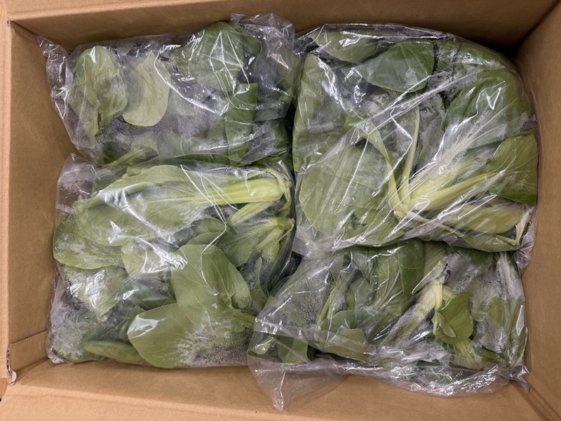 2月のご支援品2/24　チンゲン菜