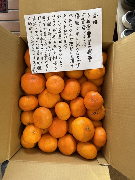 3月のご支援品3/2 甘平 3月のご支援品3/2 甘平