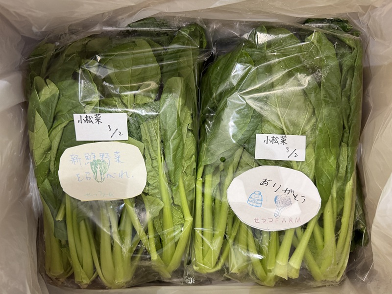 3月のご支援品3/3　小松菜、サニーレタス