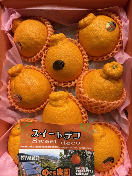 3月のご支援品3/24　デコポン、リンゴ等