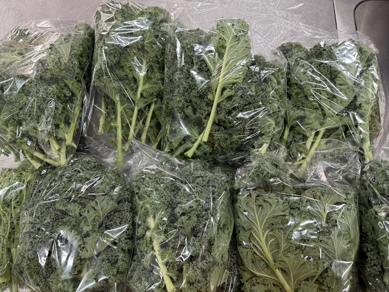 3月のご支援品3/24　ケール