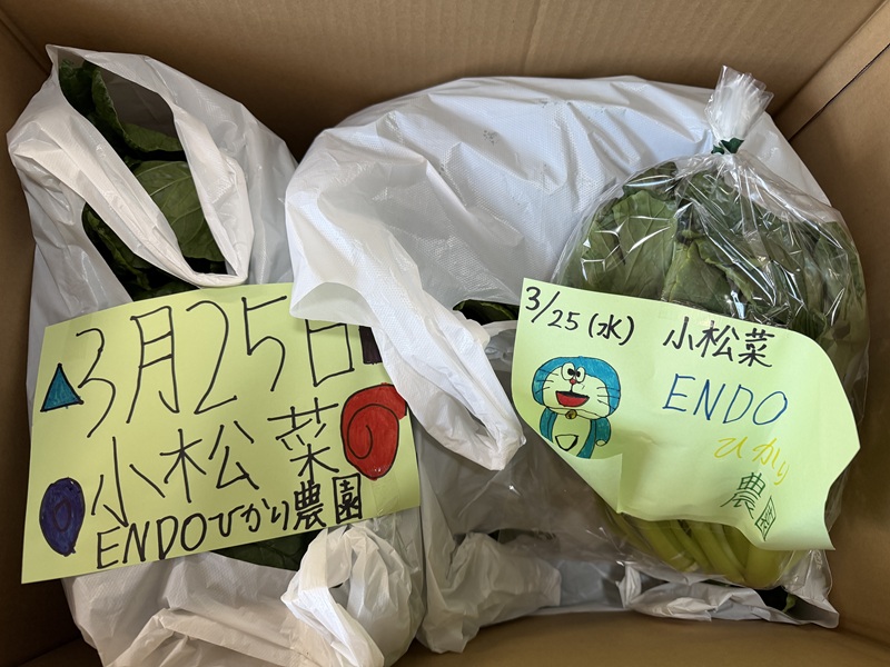 3月のご支援品3/26 小松菜、サンチュ 3月のご支援品3/26 小松菜、サンチュ