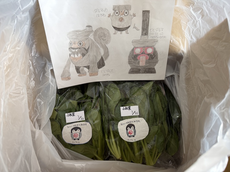 3月のご支援品3/31 小松菜、サニーレタス 3月のご支援品3/31 小松菜、サニーレタス