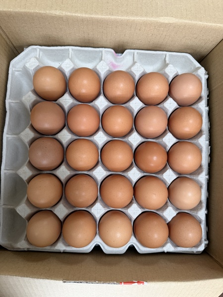 4月のご支援品4/15　卵