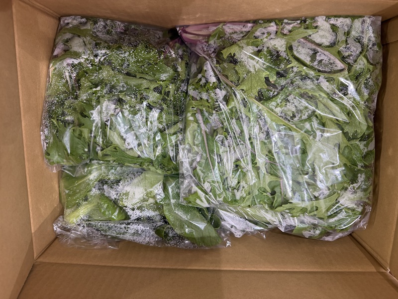 6月のご支援品6/5 紅菜師、チンゲン菜 6月のご支援品6/5 紅菜師、チンゲン菜