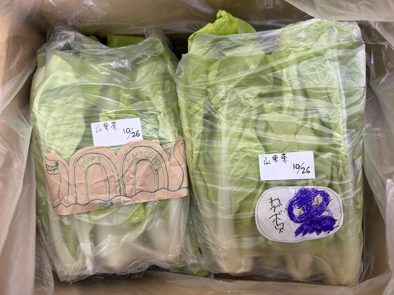 10月のご支援品10/28 山東菜、小松菜 10月のご支援品10/28 山東菜、小松菜