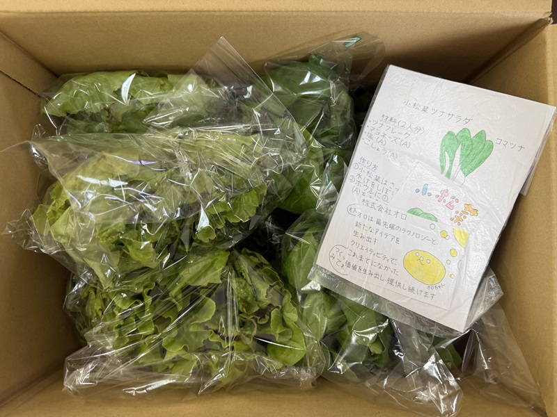 10月のご支援品10/28 小松菜 10月のご支援品10/28 小松菜