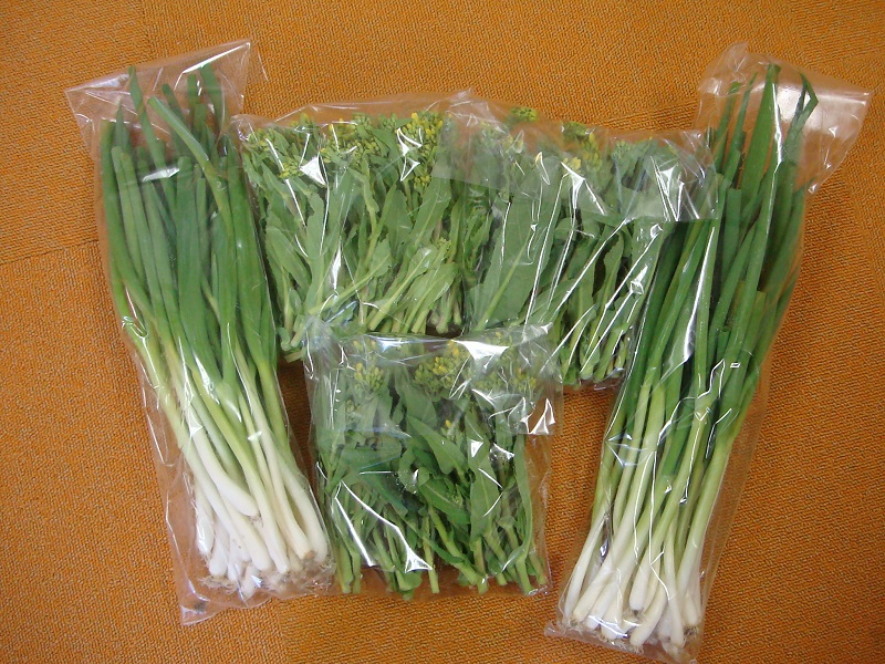 3月のご支援品  菜の花、ネギ等