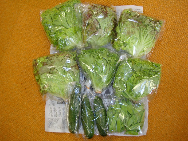 6月のご支援品パート6