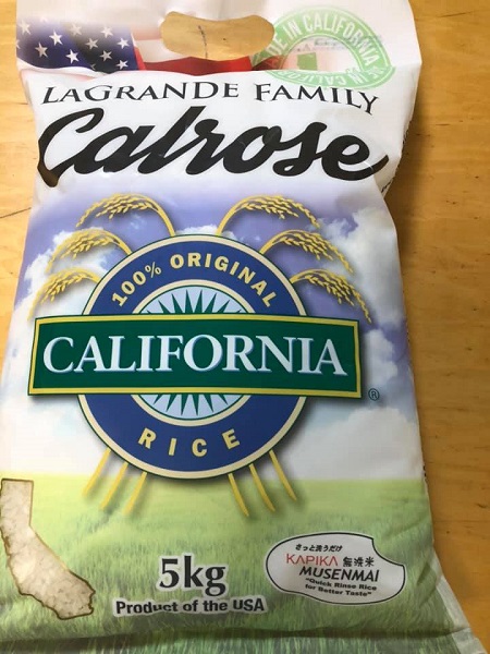 ハイハイ練習中